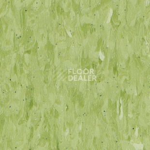 Линолеум Tarkett Iq Granit Safe T YELLOW GREEN 0705 фото 1 | FLOORDEALER